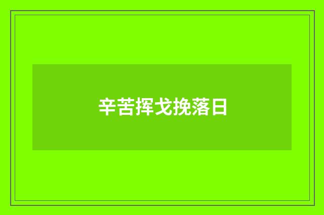 辛苦挥戈挽落日
