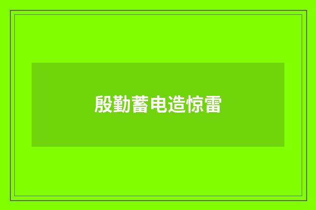 殷勤蓄电造惊雷