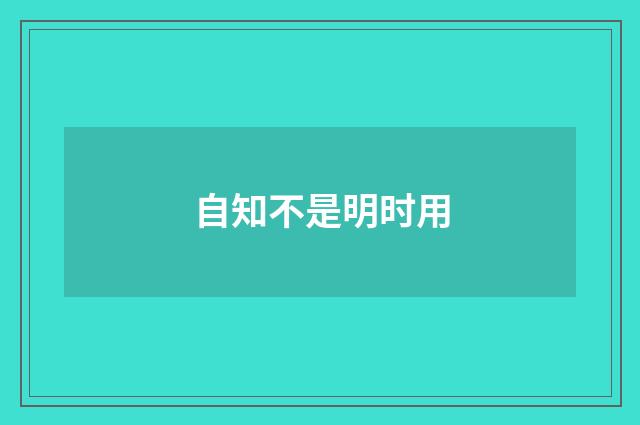 自知不是明时用