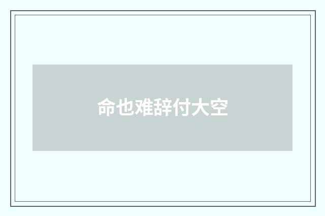 命也难辞付大空