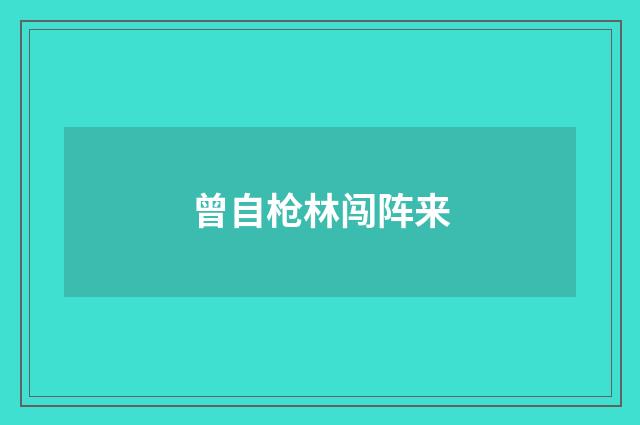 曾自枪林闯阵来