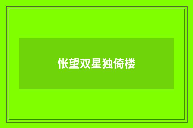 怅望双星独倚楼