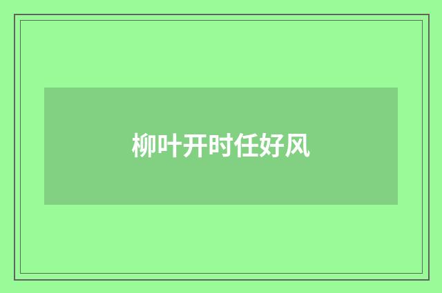 柳叶开时任好风
