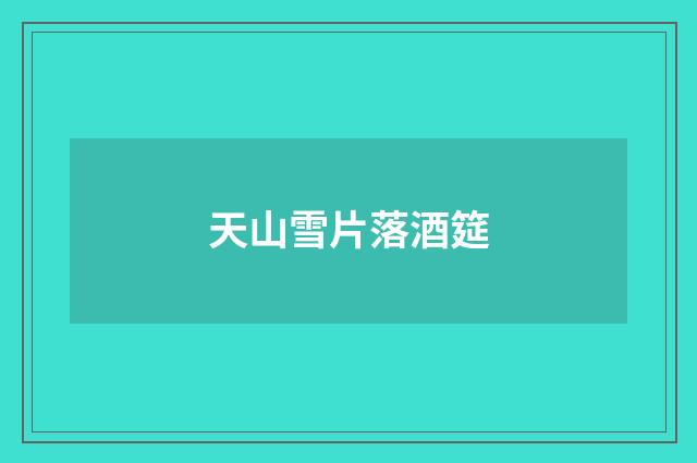 天山雪片落酒筵