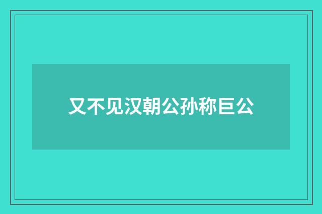 又不见汉朝公孙称巨公