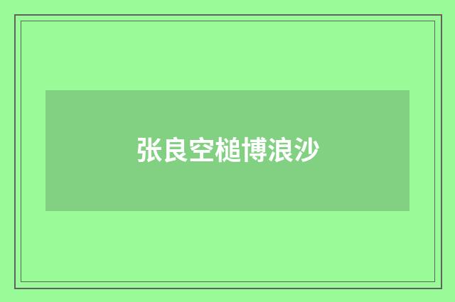 张良空槌博浪沙