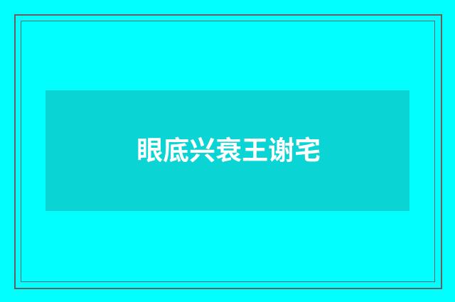 眼底兴衰王谢宅