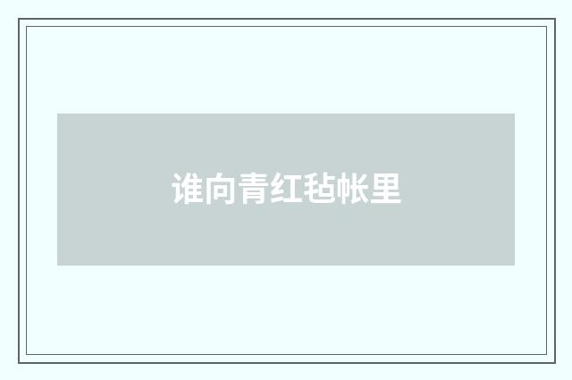 谁向青红毡帐里