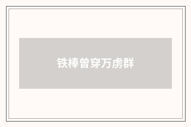 铁棒曾穿万虏群