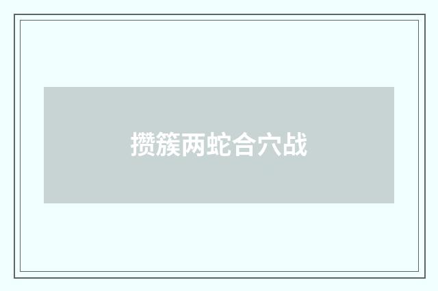 攒簇两蛇合穴战