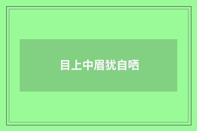目上中眉犹自哂