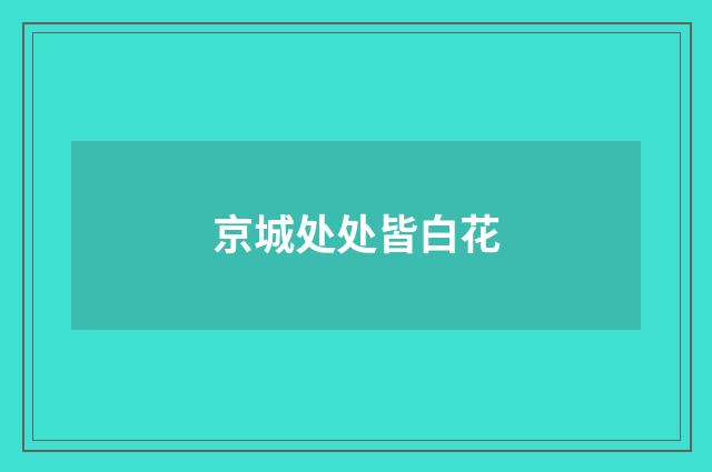 京城处处皆白花