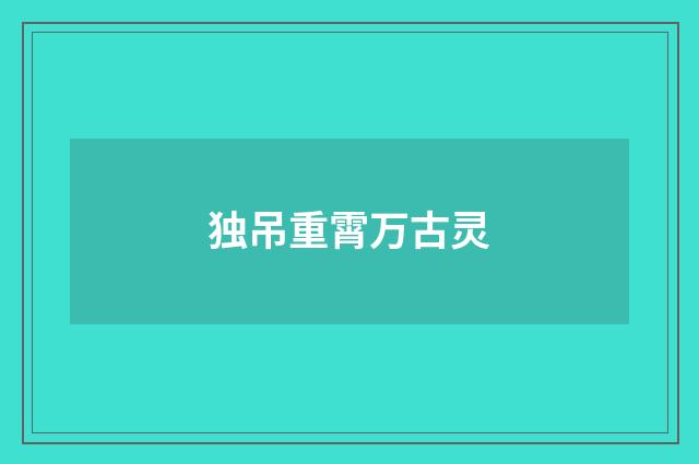 独吊重霄万古灵