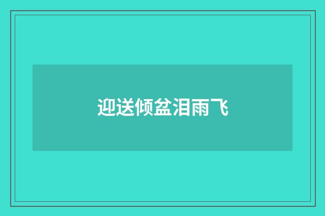迎送倾盆泪雨飞