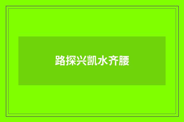 路探兴凯水齐腰