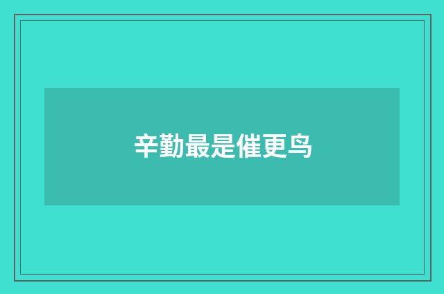 辛勤最是催更鸟