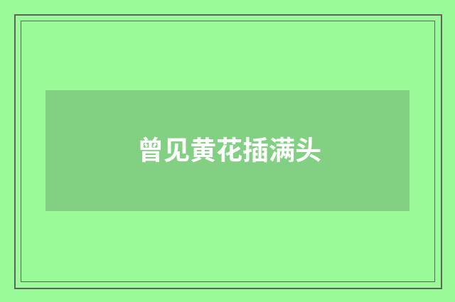 曾见黄花插满头