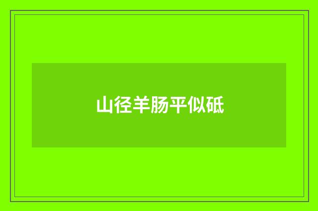 山径羊肠平似砥