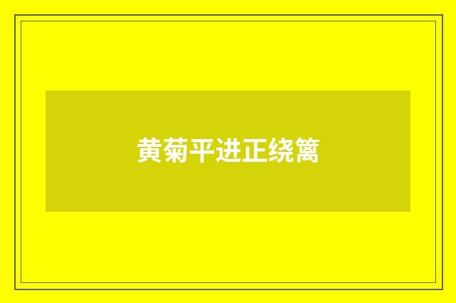 黄菊平进正绕篱