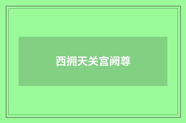 西拥天关宫阙尊
