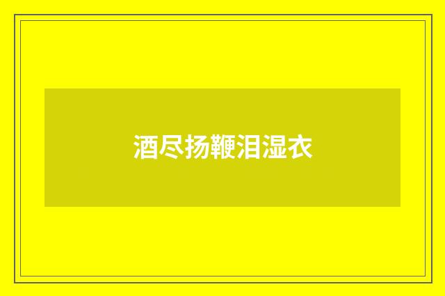 酒尽扬鞭泪湿衣