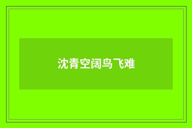 沈青空阔鸟飞难