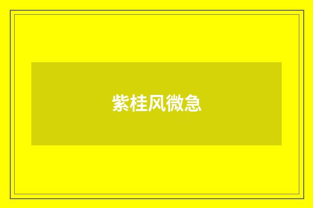 紫桂风微急