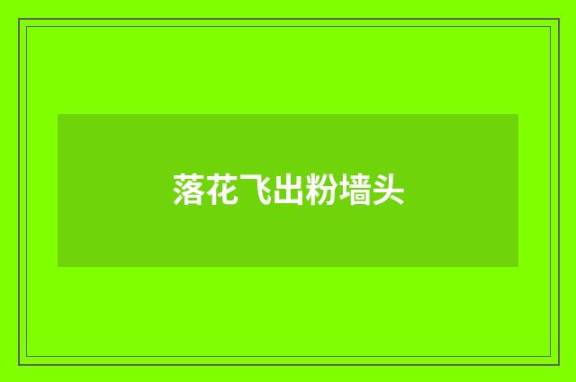 落花飞出粉墙头