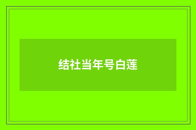 结社当年号白莲