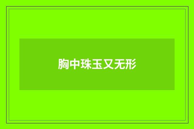 胸中珠玉又无形