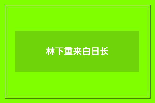 林下重来白日长