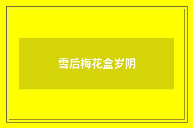 雪后梅花盒岁阴