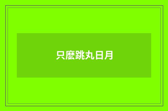 只麽跳丸日月