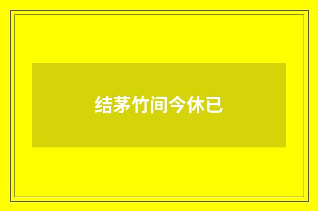 结茅竹间今休已