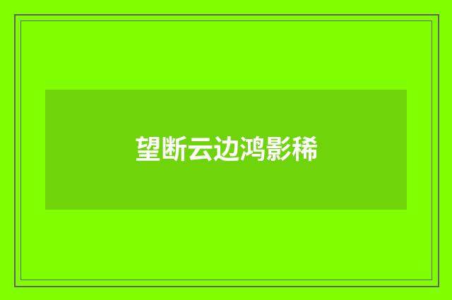 望断云边鸿影稀