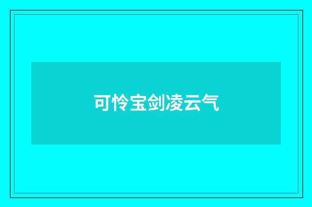 可怜宝剑凌云气