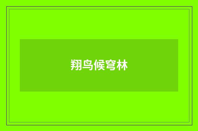 翔鸟候穹林