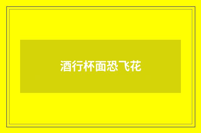酒行杯面恐飞花