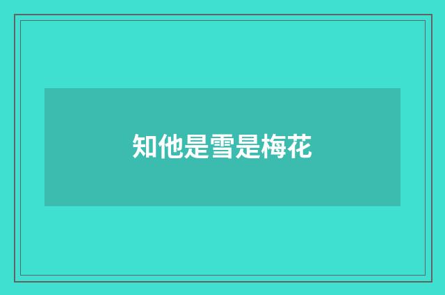 知他是雪是梅花