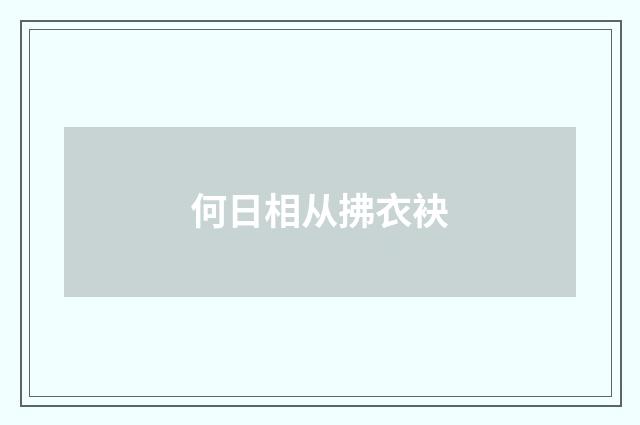 何日相从拂衣袂
