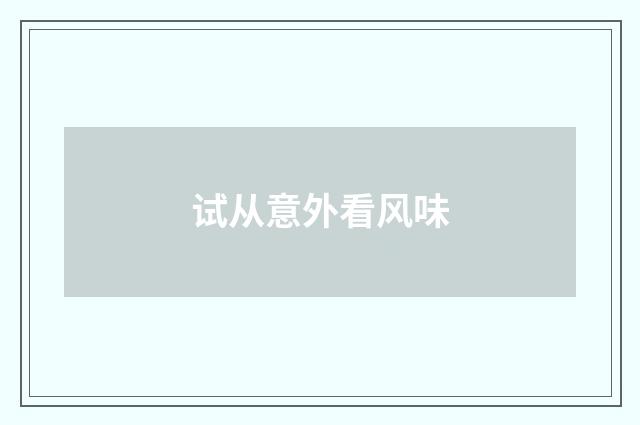 试从意外看风味