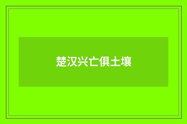 楚汉兴亡俱土壤