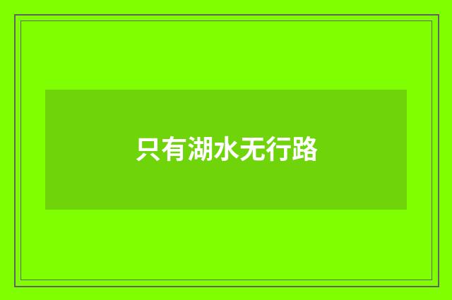 只有湖水无行路