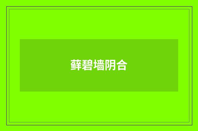 藓碧墙阴合