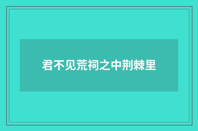 君不见荒祠之中荆棘里