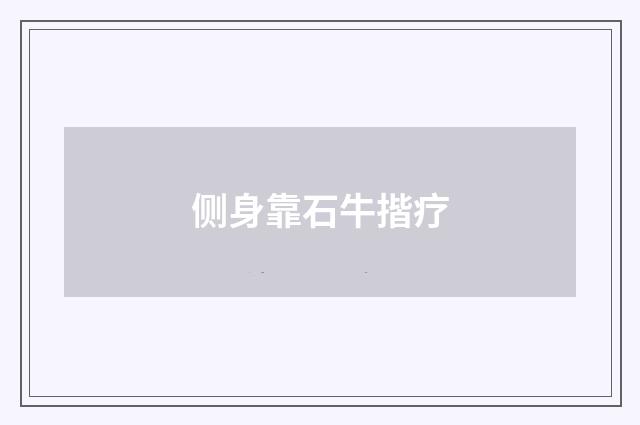 侧身靠石牛揩疗