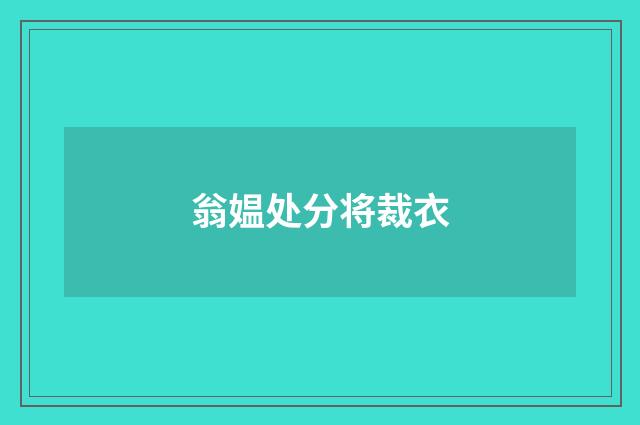 翁媪处分将裁衣