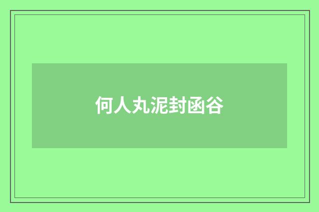 何人丸泥封函谷