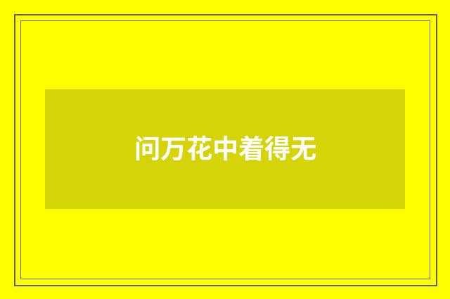 问万花中着得无