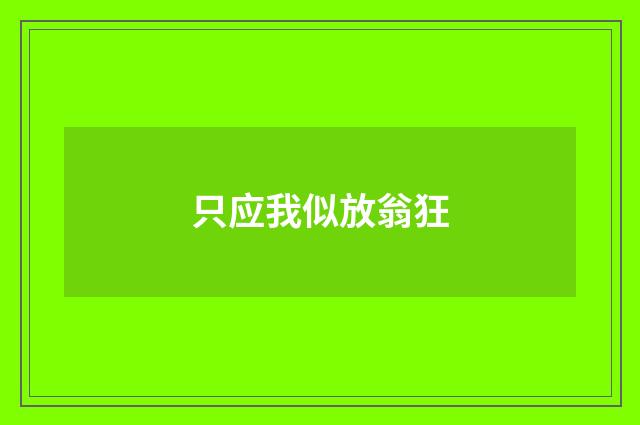 只应我似放翁狂
